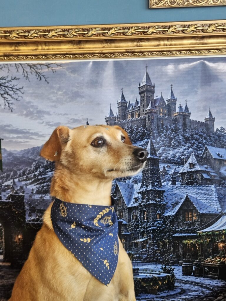 Foto de capa