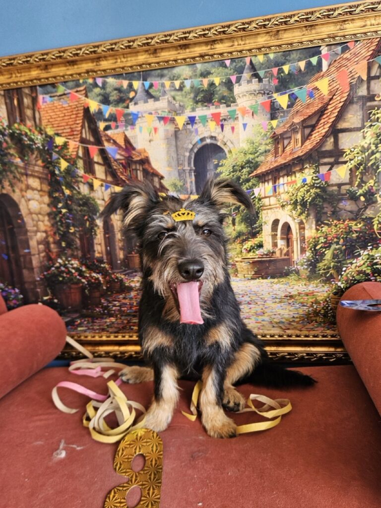 Foto de capa