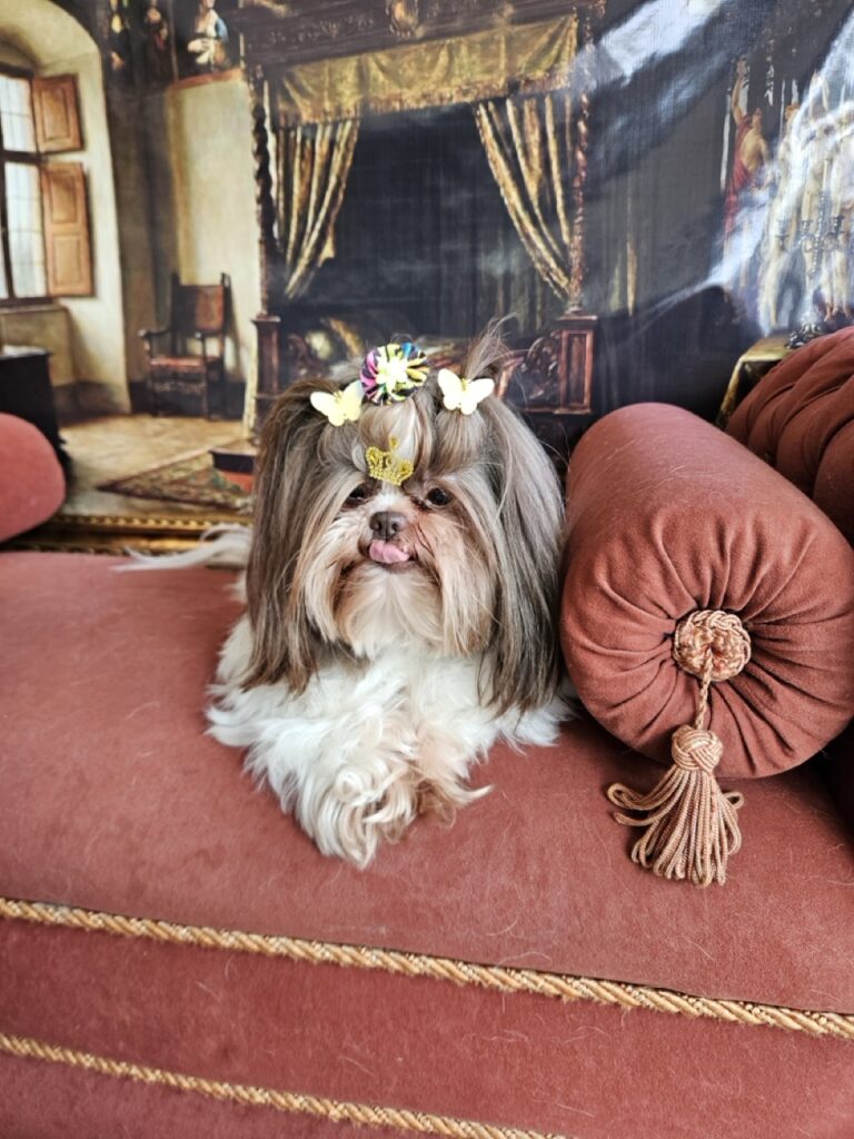 Foto de capa
