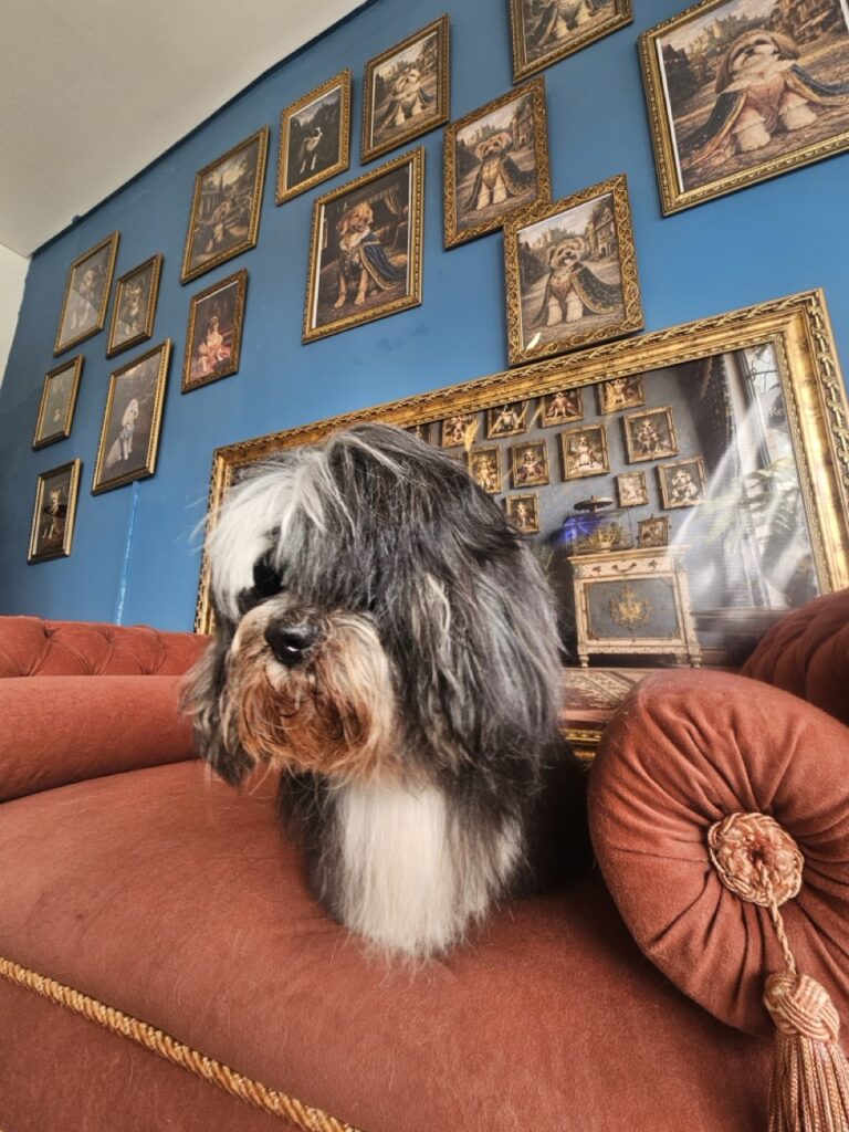 Foto de capa