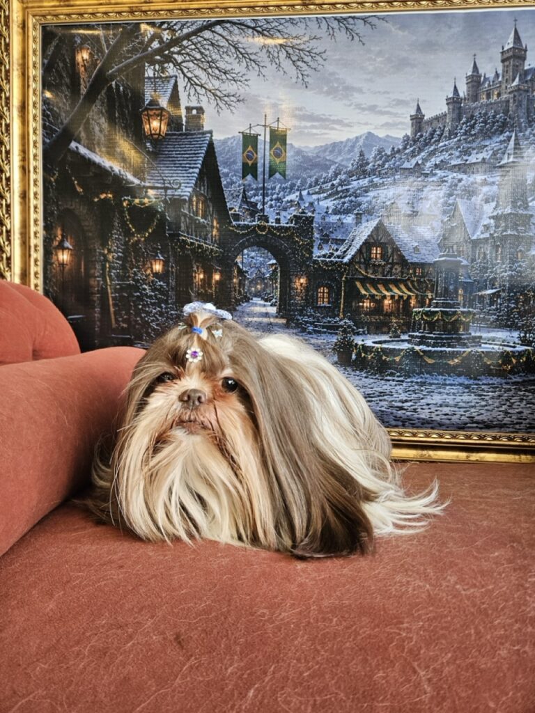Leia na Realeza Pets, foto 19