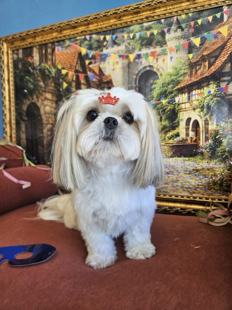 Foto de capa