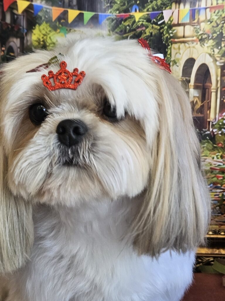 Foto de capa