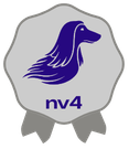 Medalha Brilho nv4