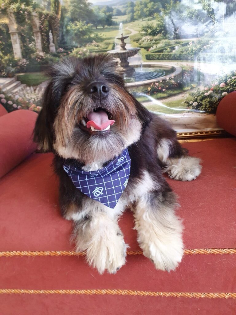 Foto de capa