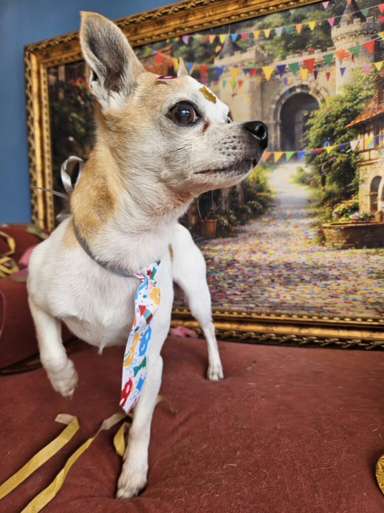 Foto de capa