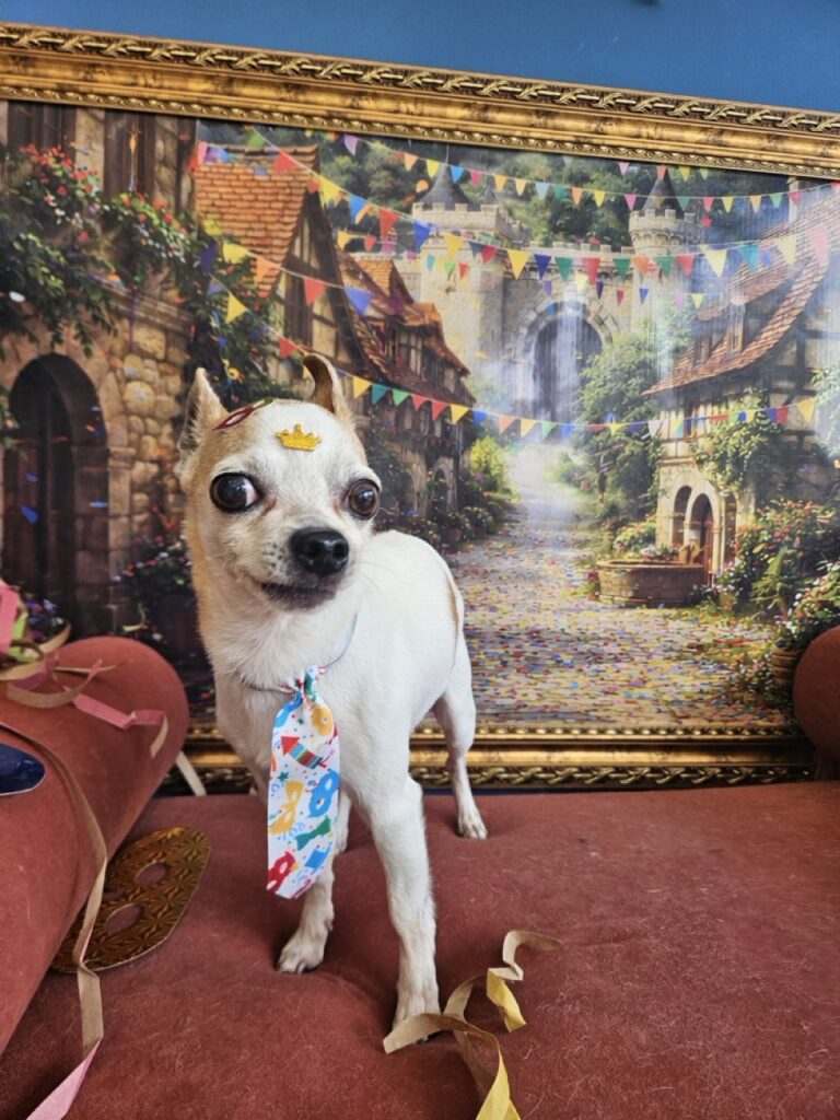 Foto de capa