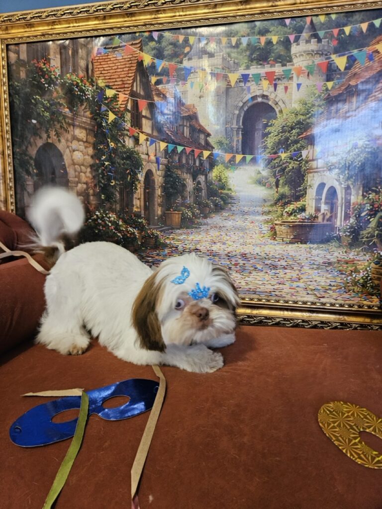 Foto de capa