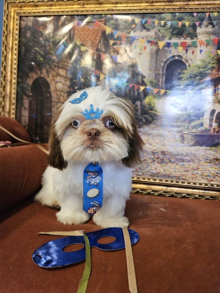 Foto de capa