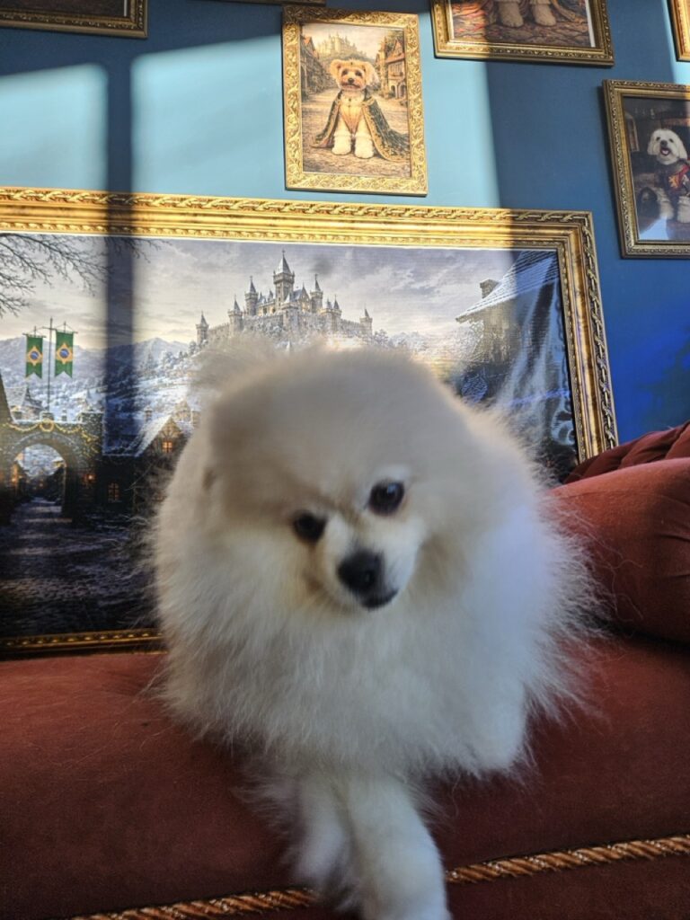 Fred na Realeza Pets, foto 26