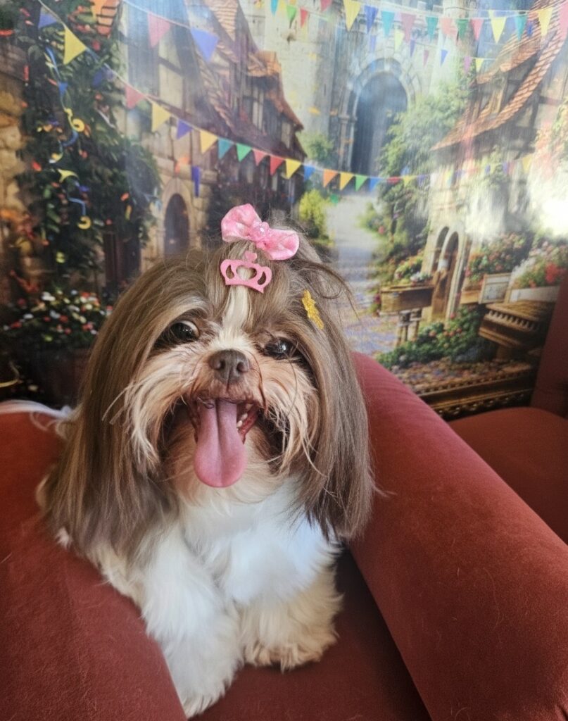 Foto de capa
