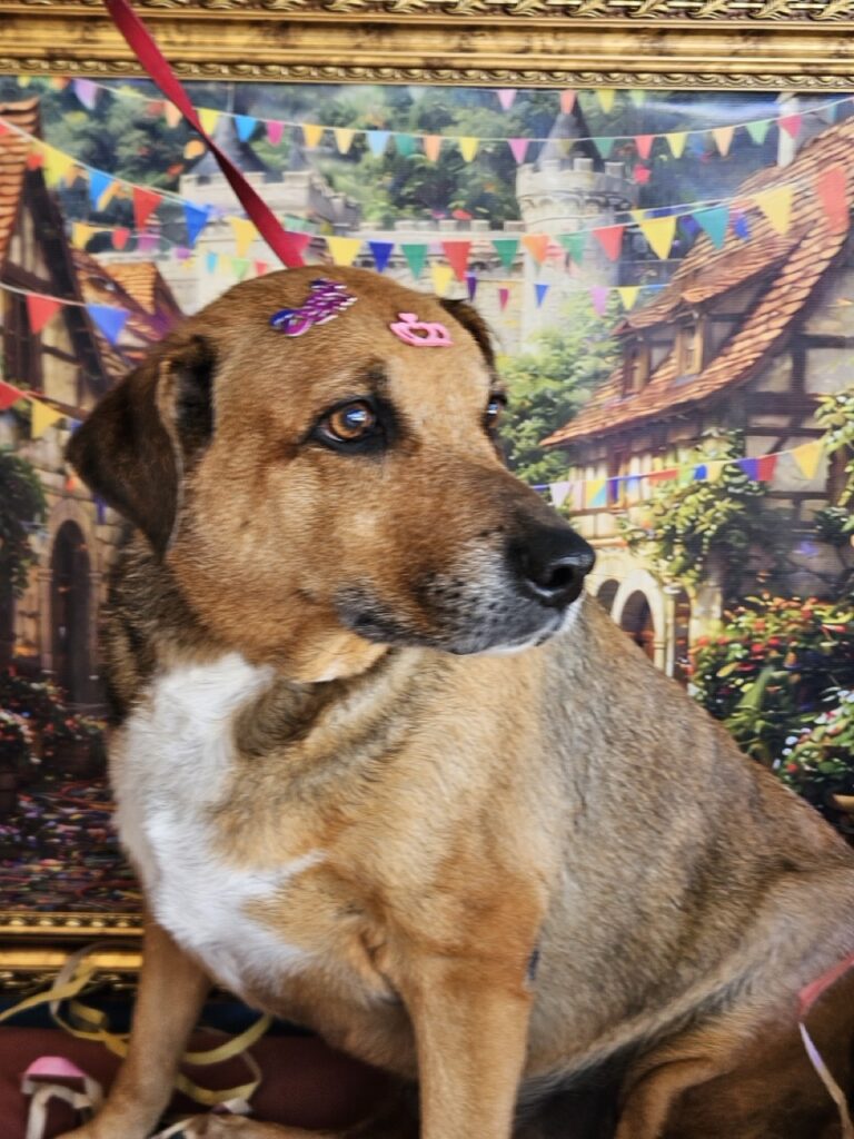 Foto de capa
