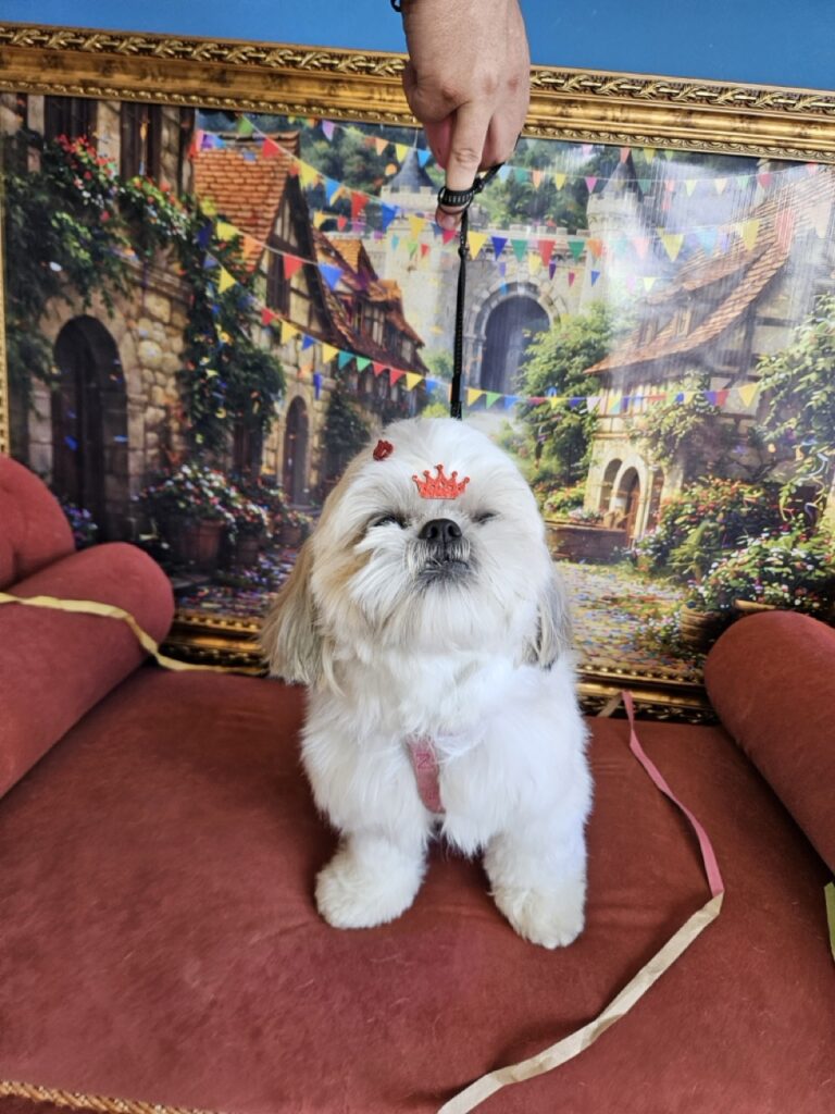 Foto de capa