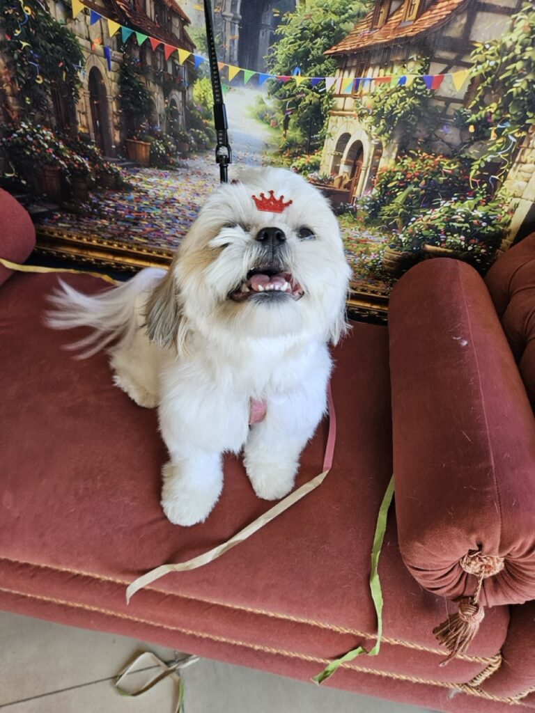 Foto de capa