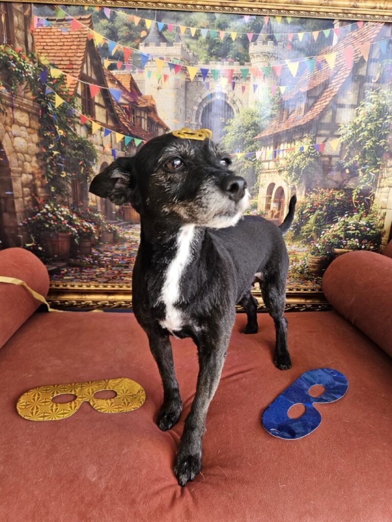 Foto de capa