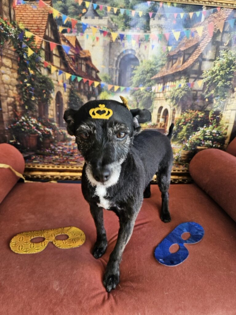 Foto de capa