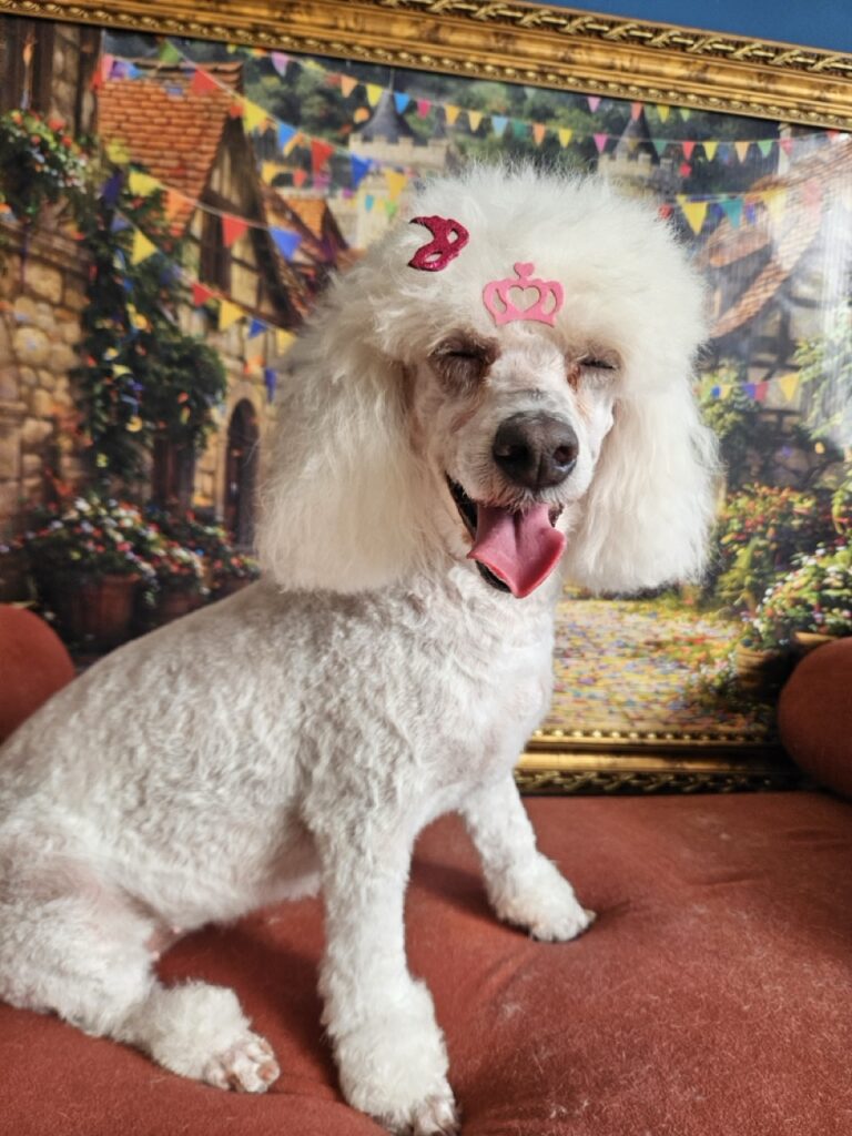 Foto de capa