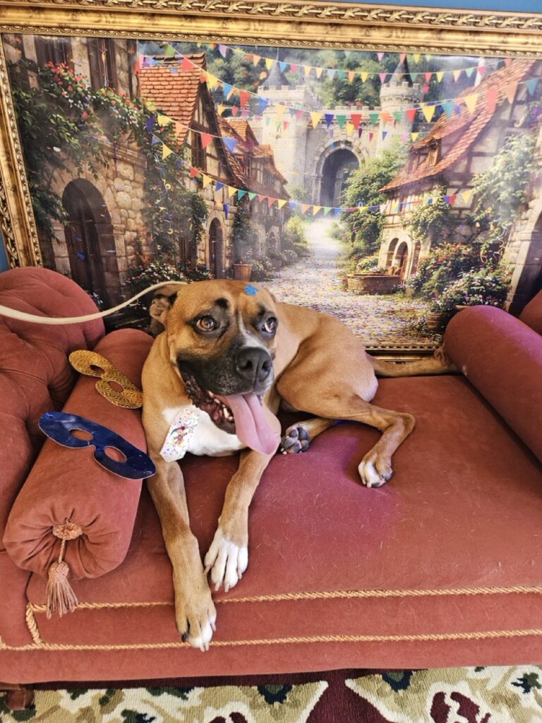 Foto de capa