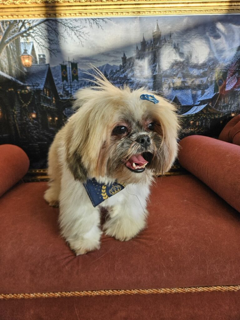 Balu na Realeza Pets, foto 8