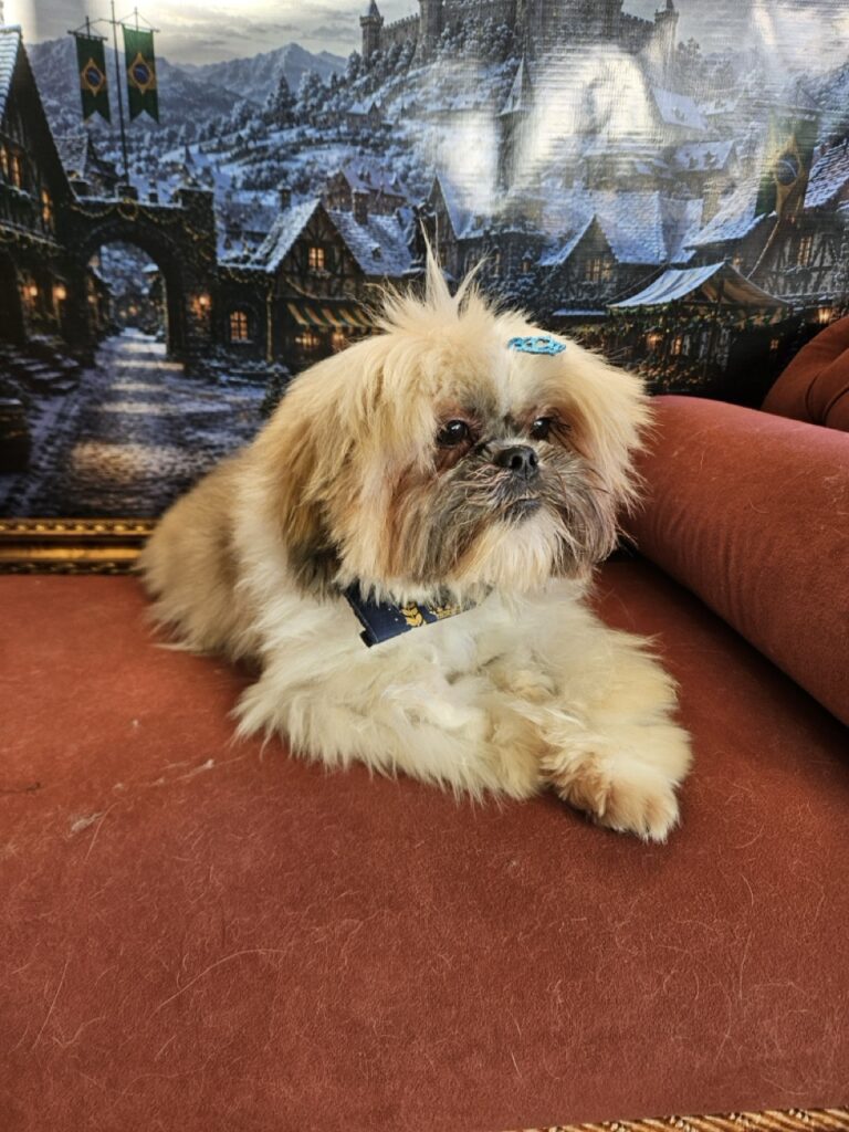 Balu na Realeza Pets, foto 9