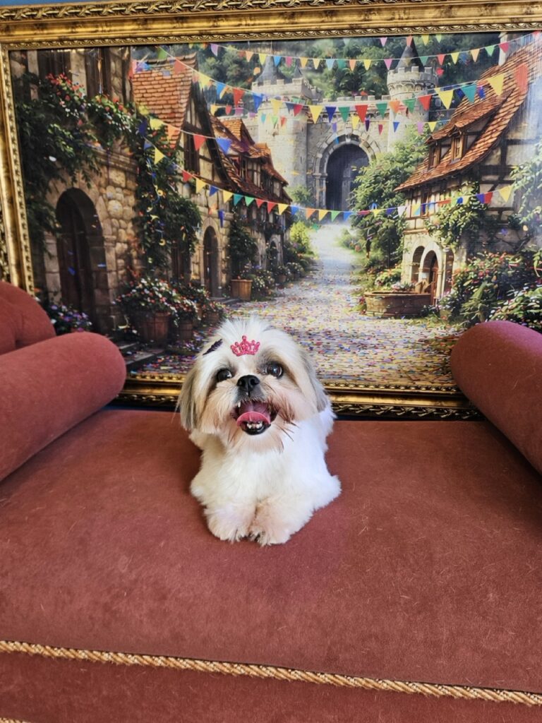 Jhuly, Lhasa atendido na Realeza Pets