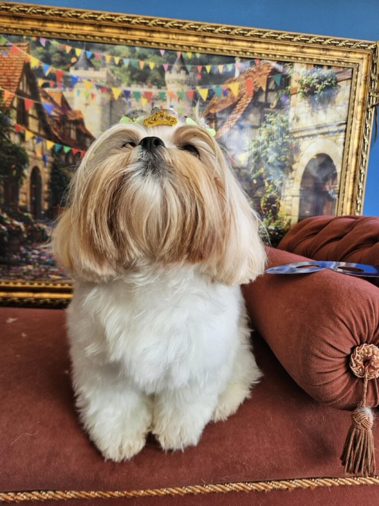Foto de capa