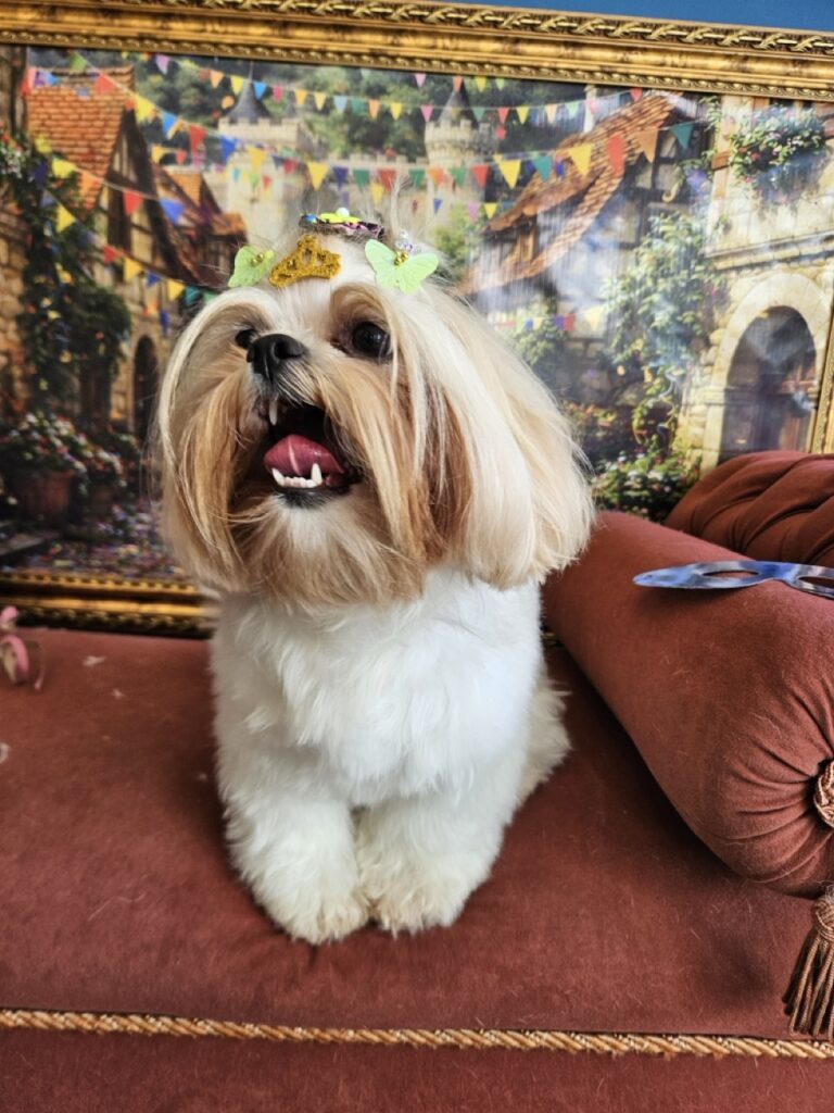 Foto de capa