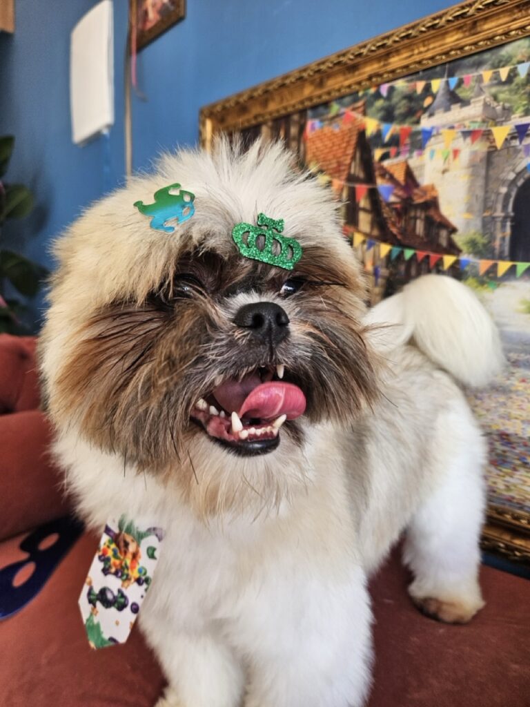 Foto de capa