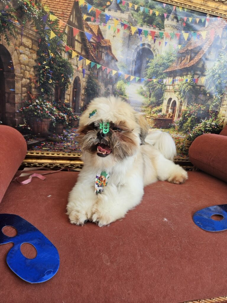 Foto de capa