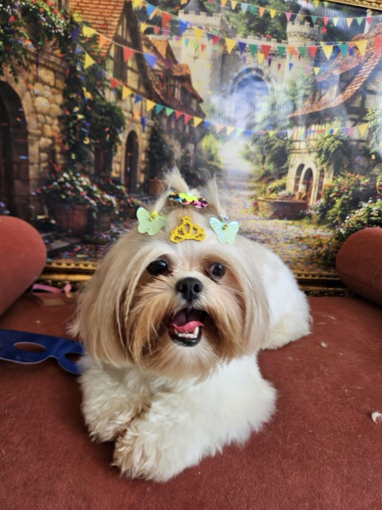 Foto de capa