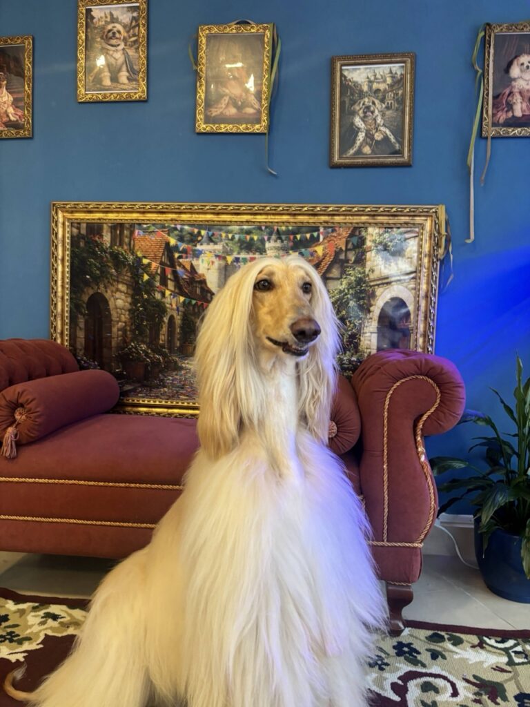 Foto de capa