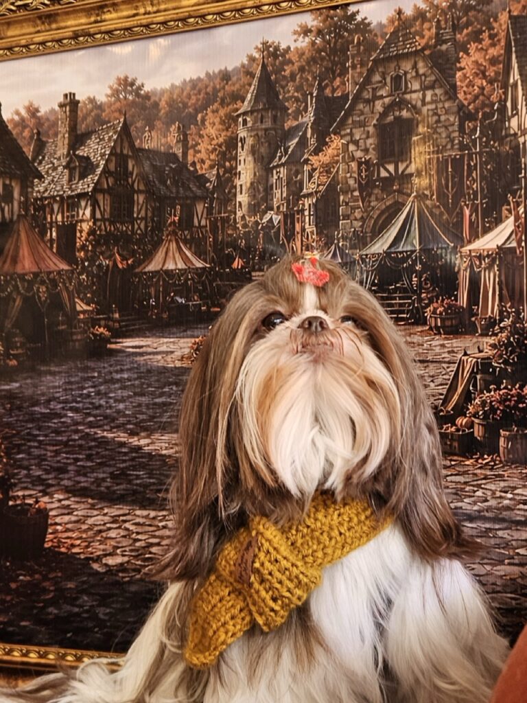 Leia na Realeza Pets, foto 14