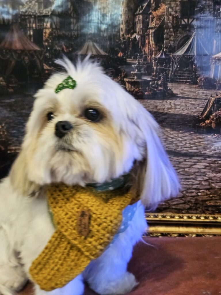Sapeca na Realeza Pets, foto 11