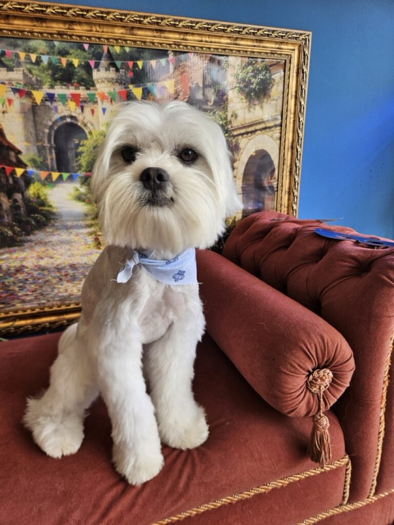 Foto de capa