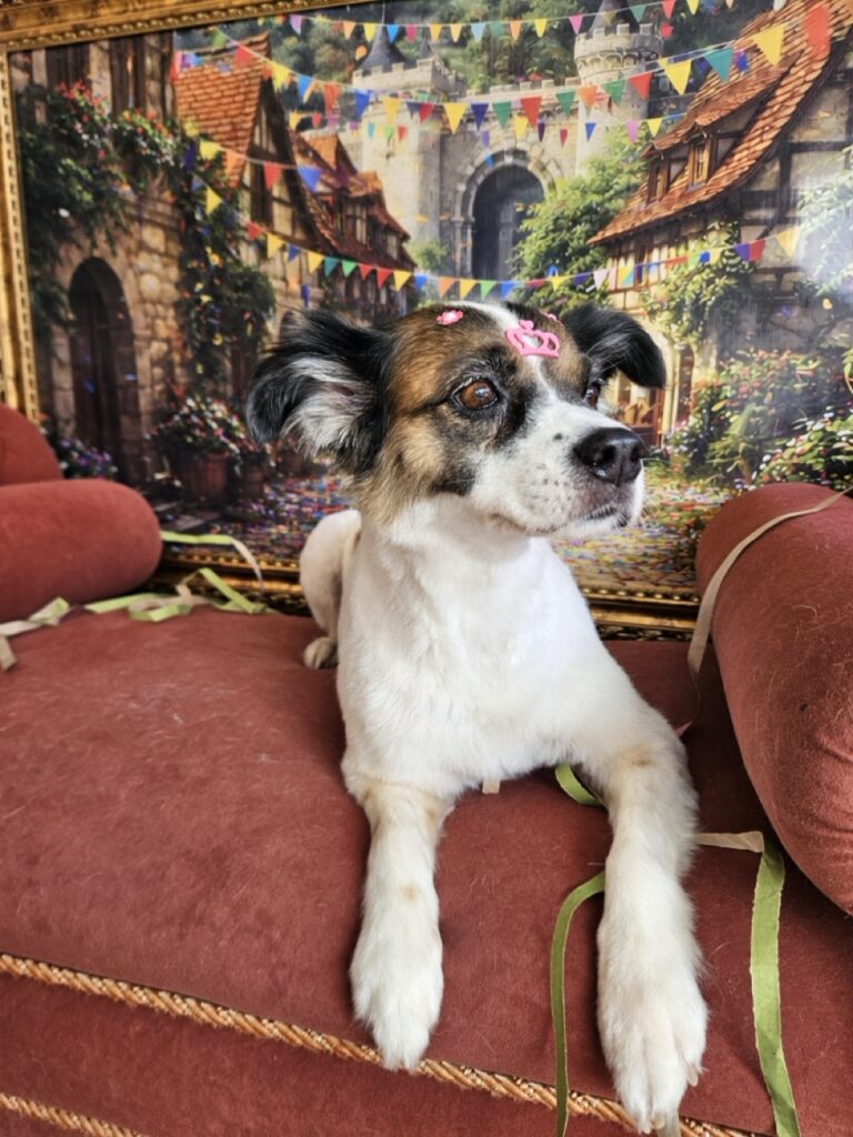 Foto de capa