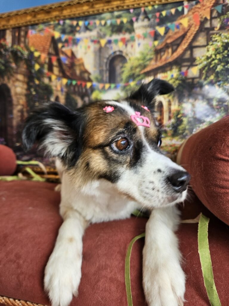 Foto de capa