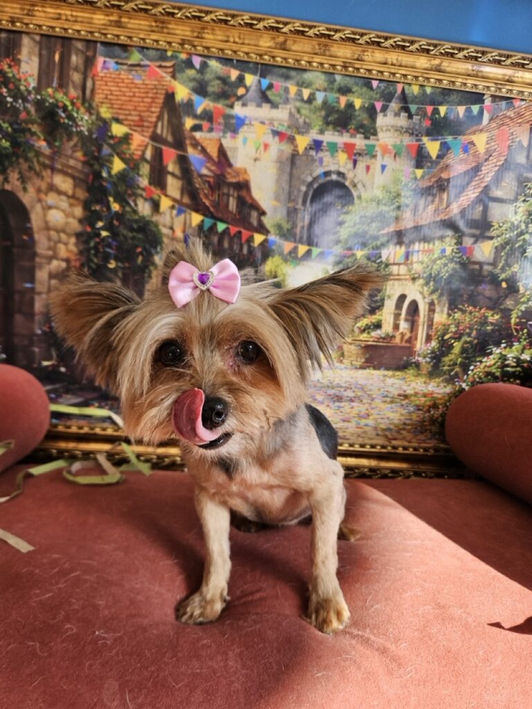 Foto de capa