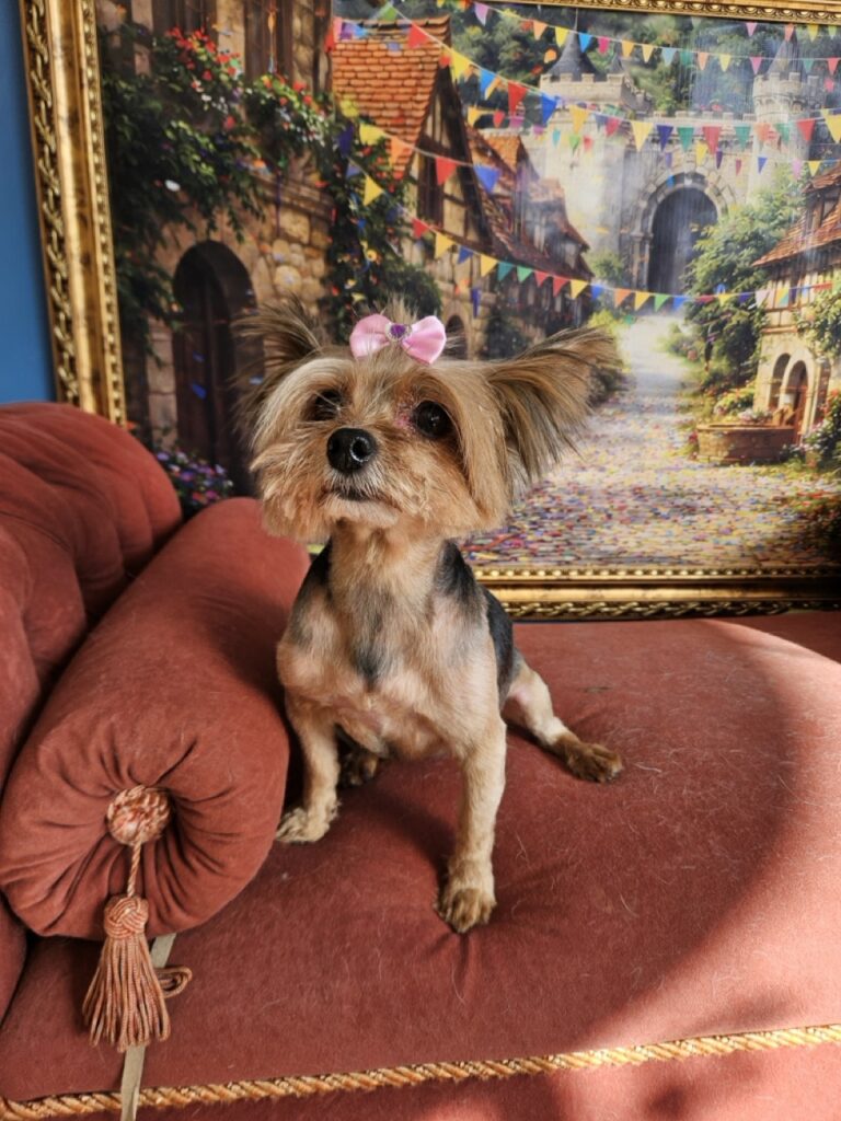 Foto de capa