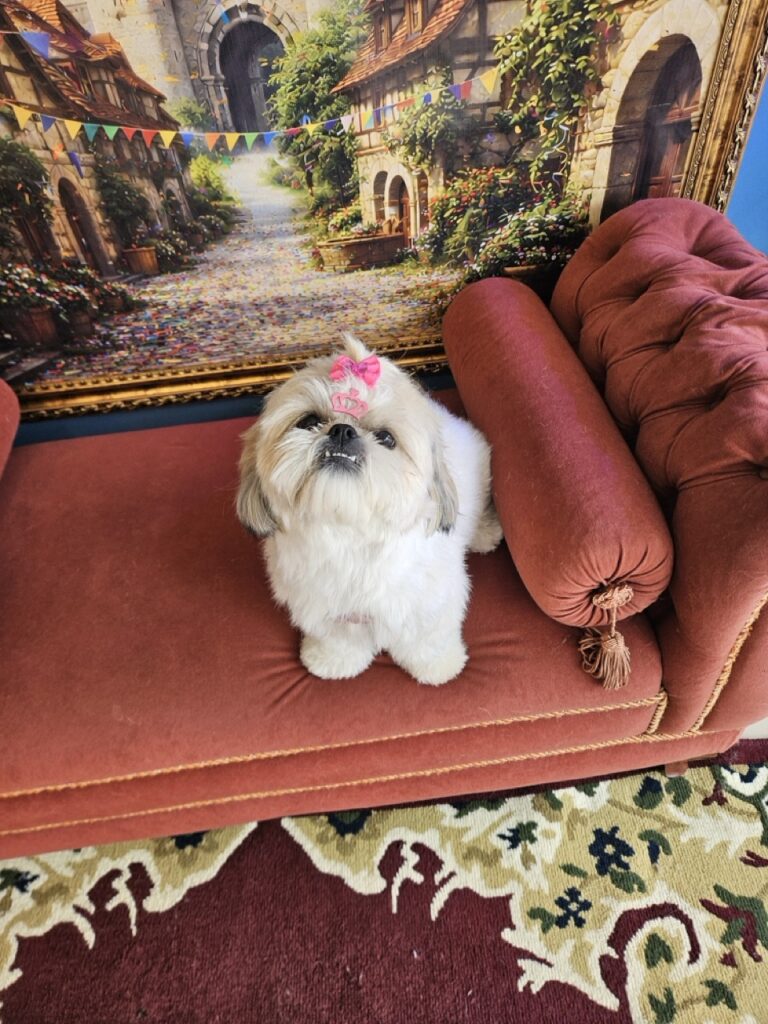 Foto de capa