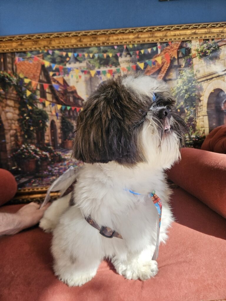 Foto de capa