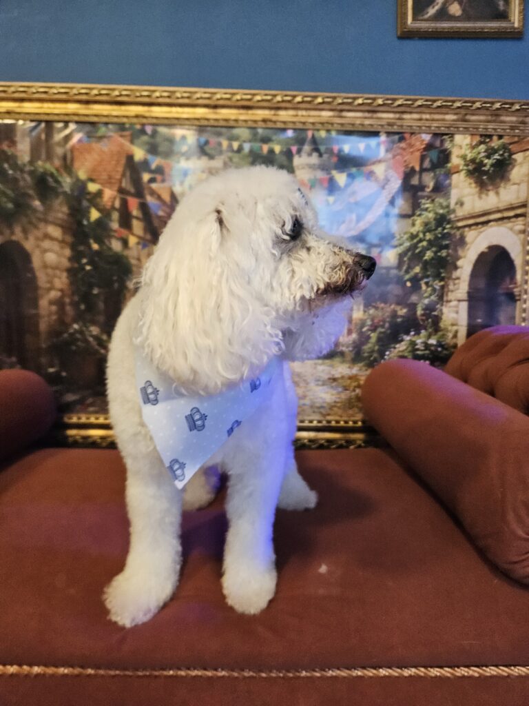Foto de capa
