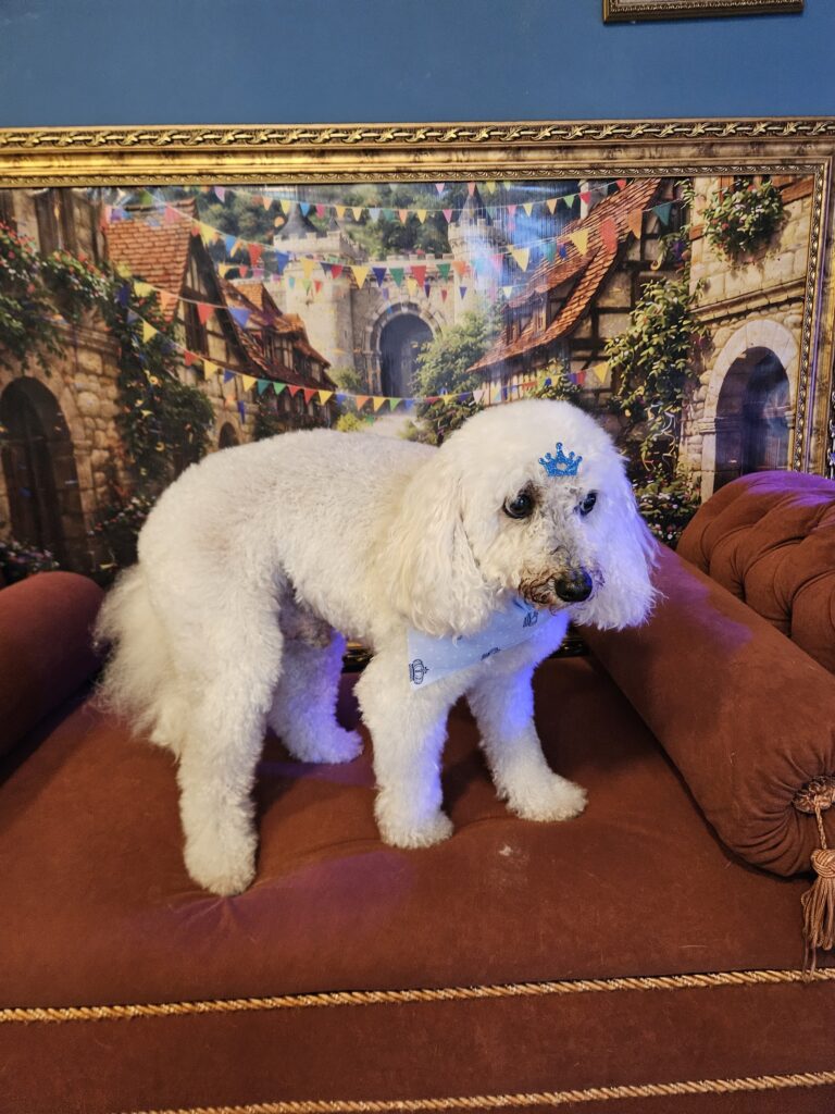 Foto de capa