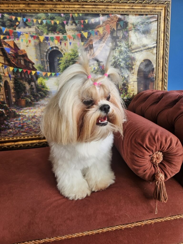 Foto de capa