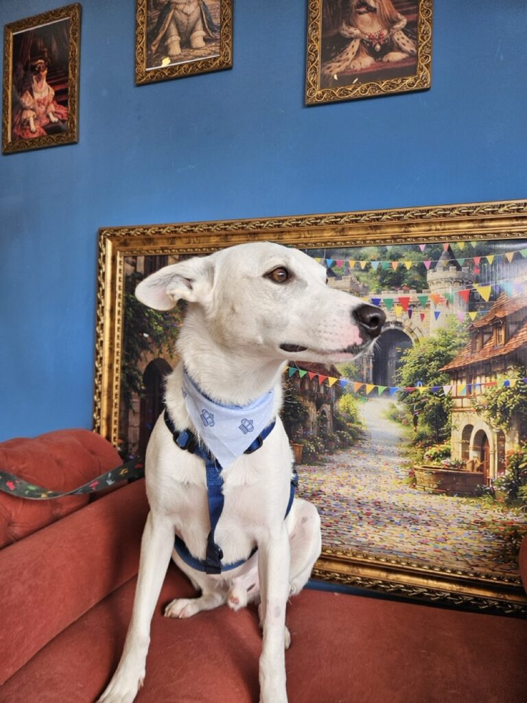 Foto de capa