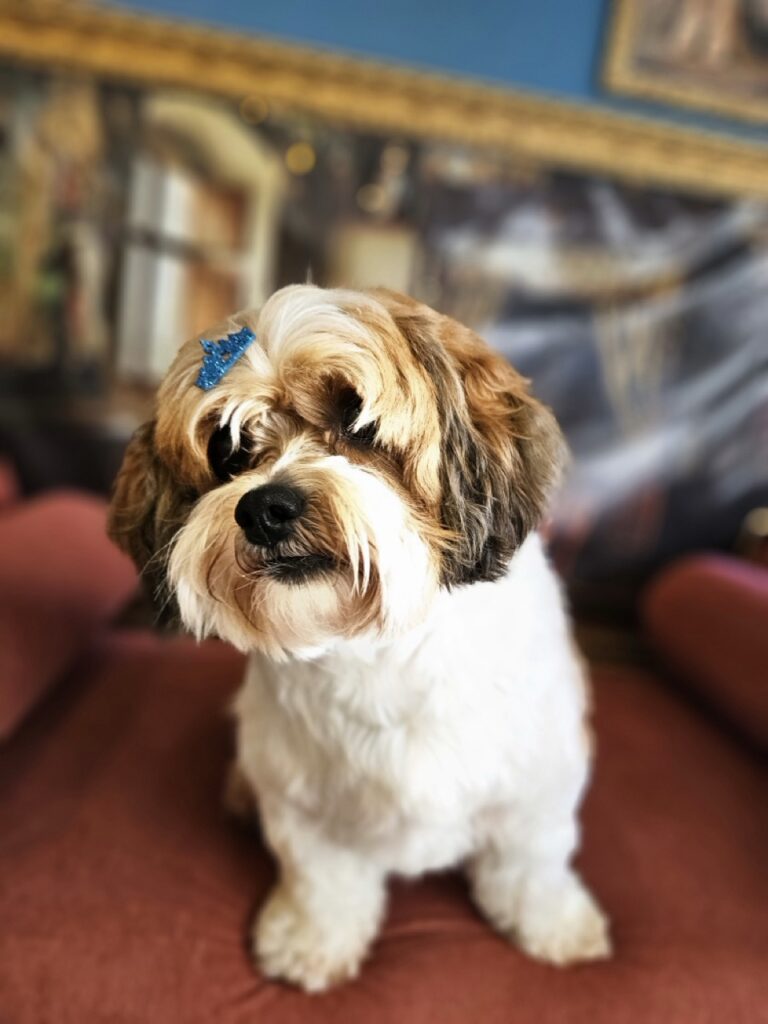 Foto de capa