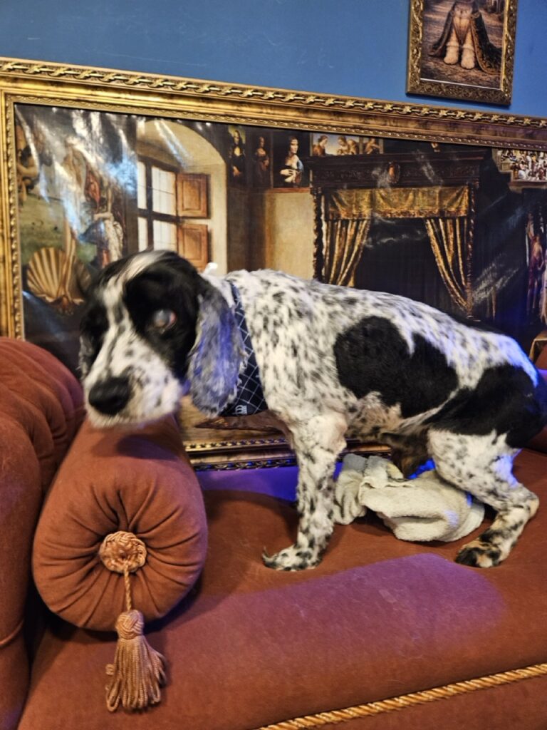 Foto de capa