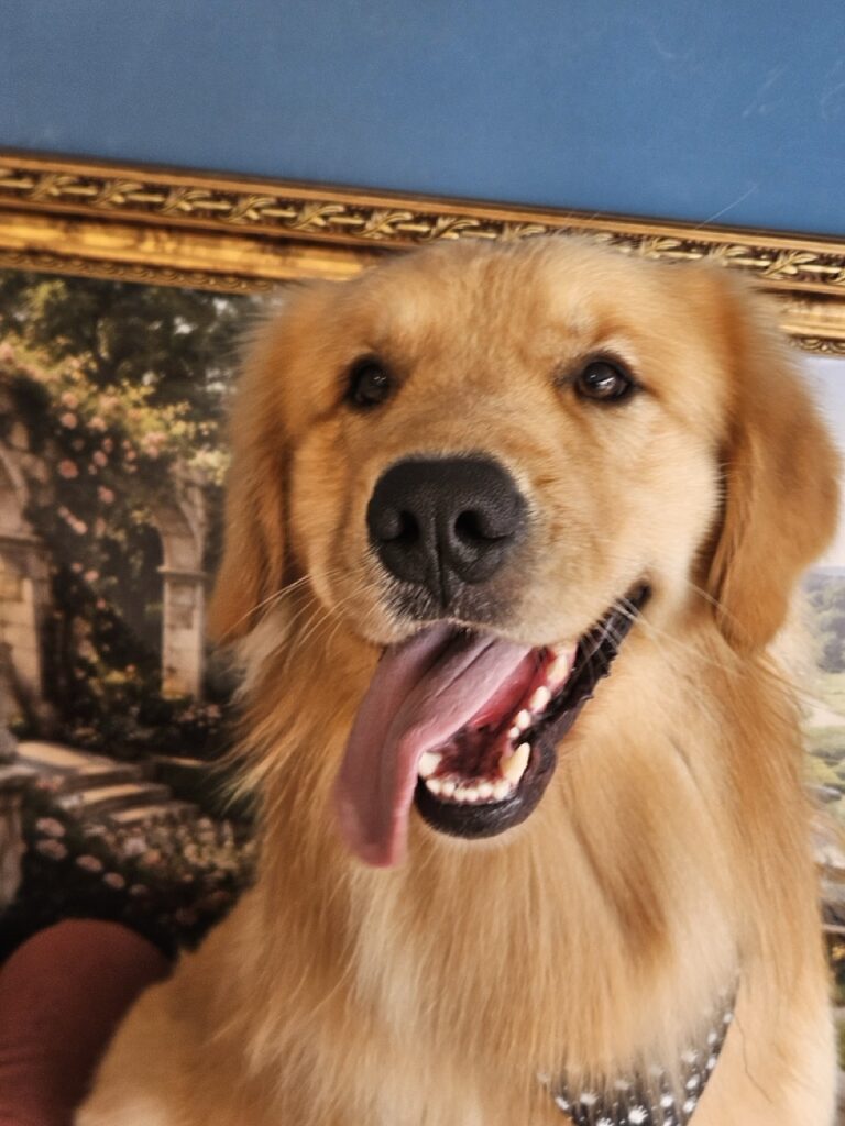 Foto de capa