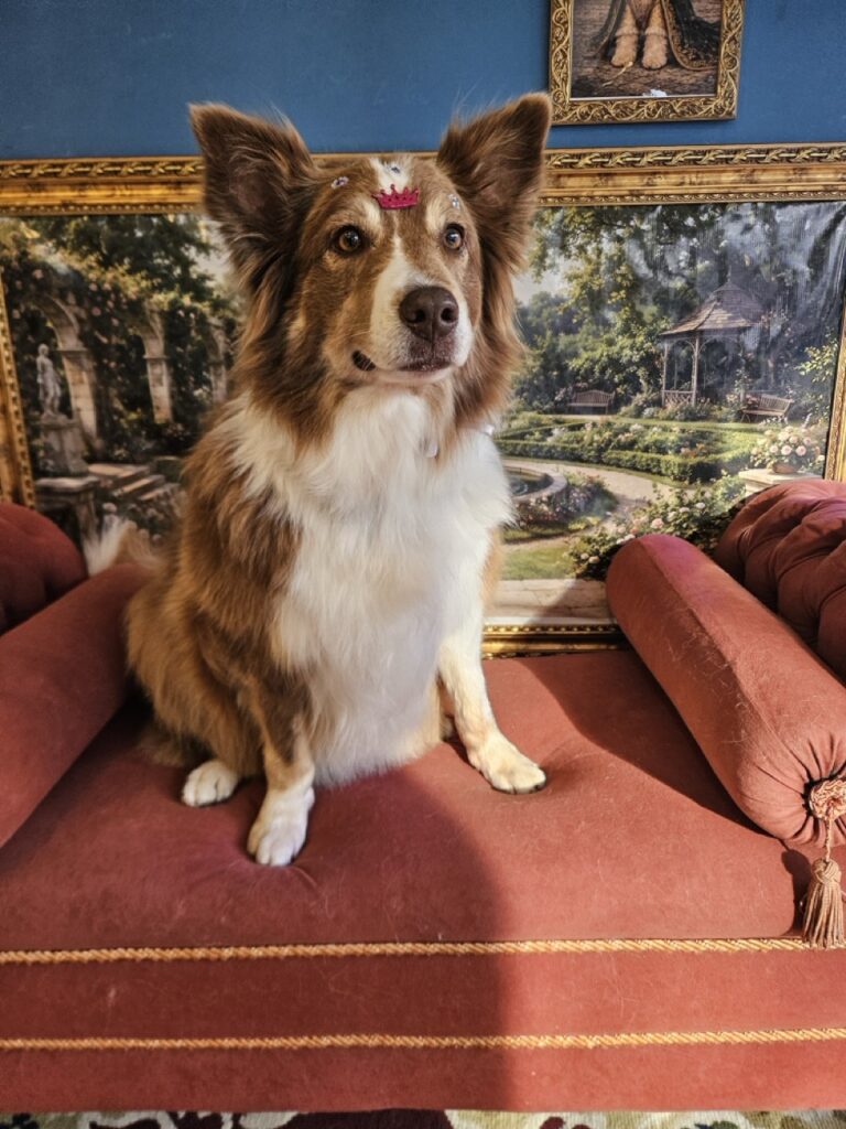 Foto de capa