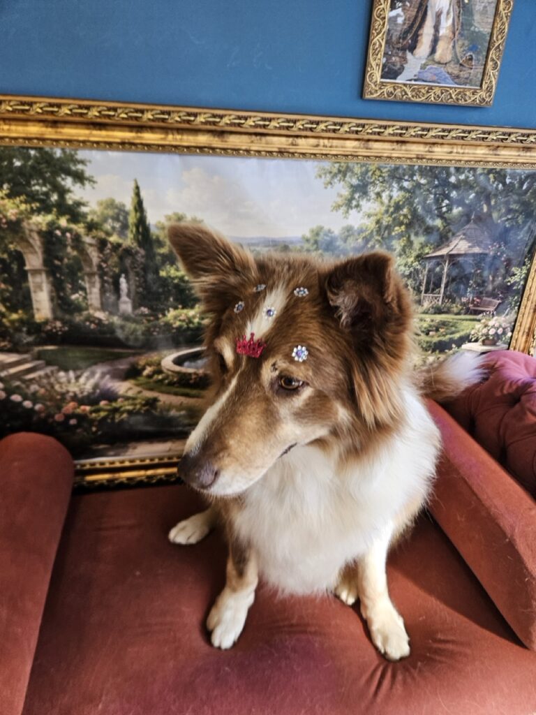 Foto de capa