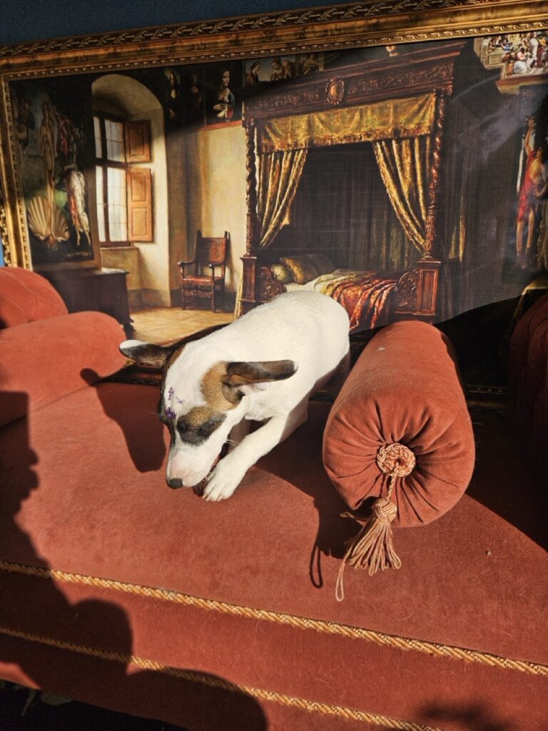 Foto de capa